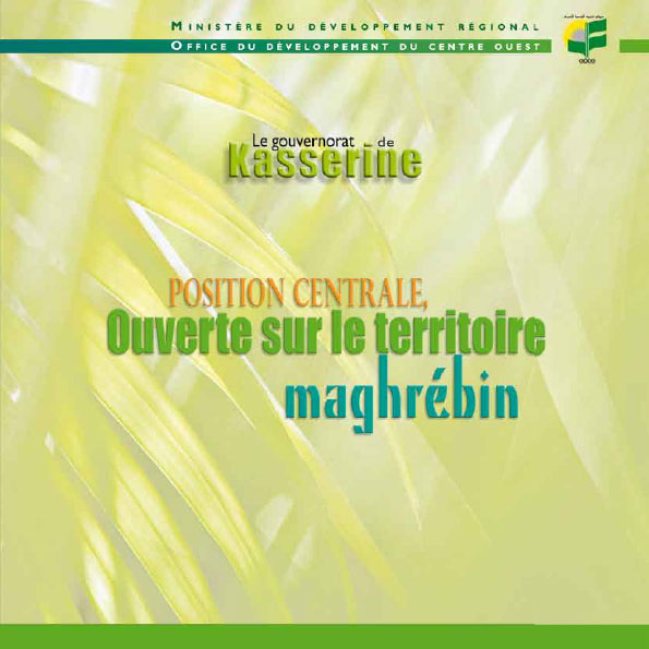 Read more about the article Kasserine: central position, opening onto the Maghreb territory