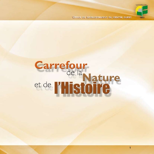 Read more about the article Kairouan: crossroads of nature and history