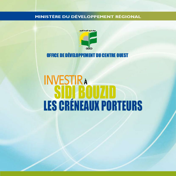 Read more about the article Investing in Sidi Bouzid: promising niches